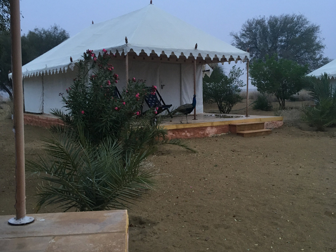 大摩达沙漠营地主图