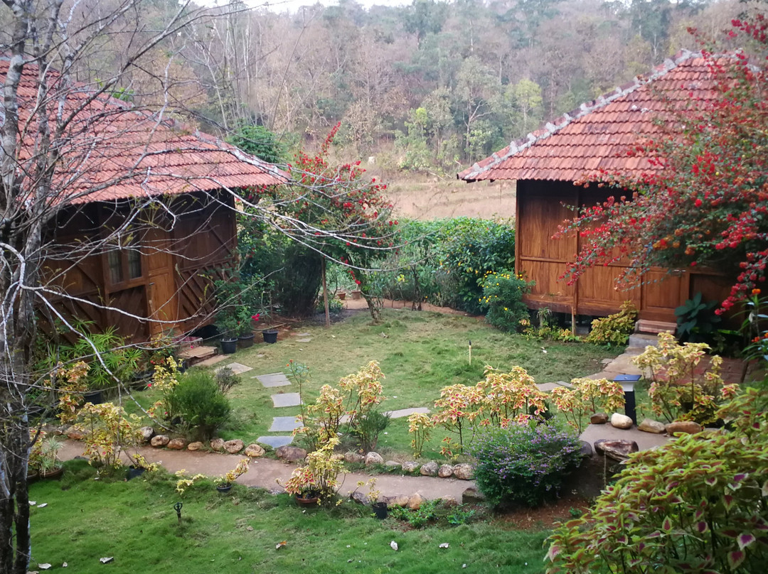 Jungle Retreat Wayanad主图