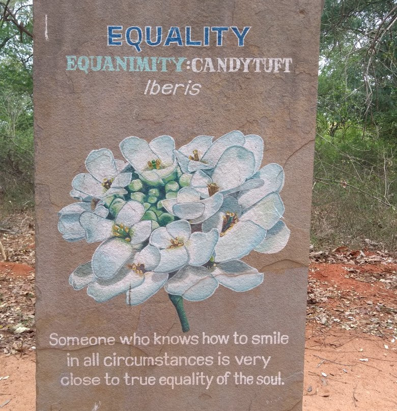 Auroville景点图片
