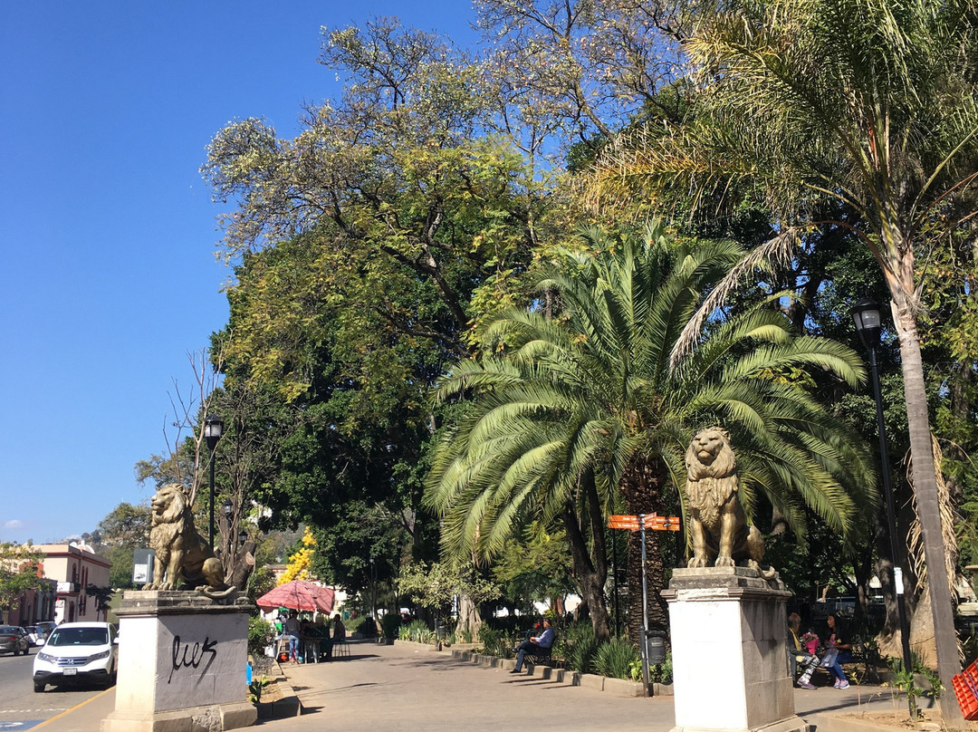 Parque Juarez  El Llano-瓦哈卡必去景点