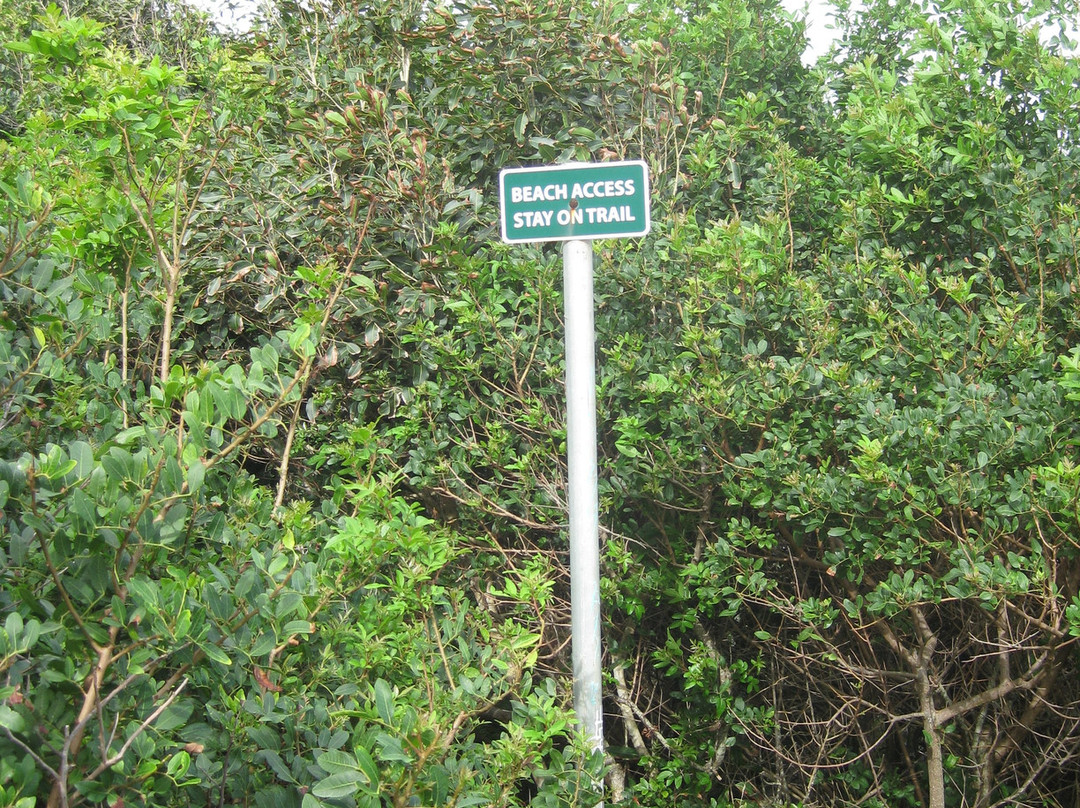 Waiakalua Beach-基拉韦厄必去景点