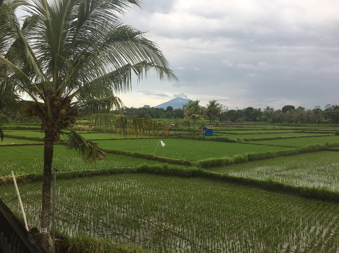 Mancur Guesthouse主图