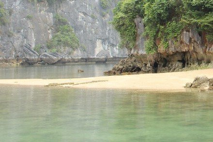 Cat Ba Island Adventures景点图片