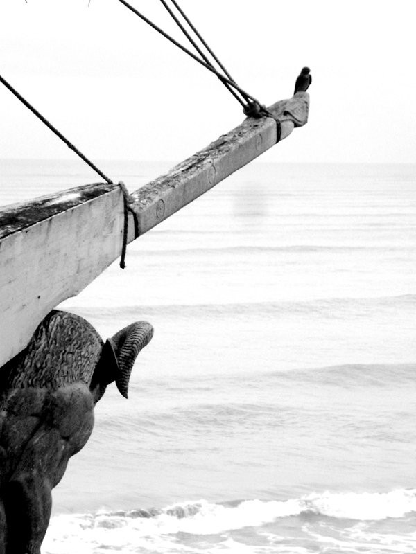 Punta Prieta Guest House主图