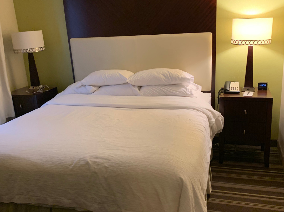 Embassy Suites by Hilton Savannah Airport主图