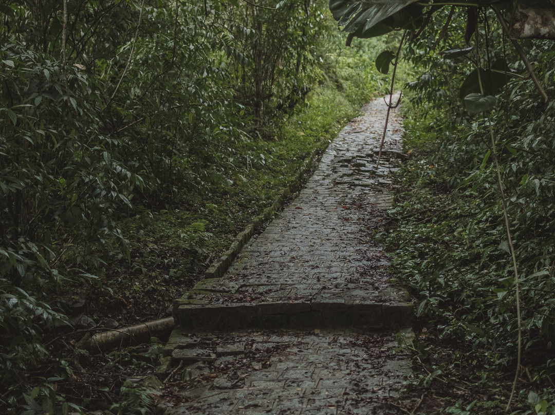 Praia da Fortaleza-Ilha do Mel必去景点