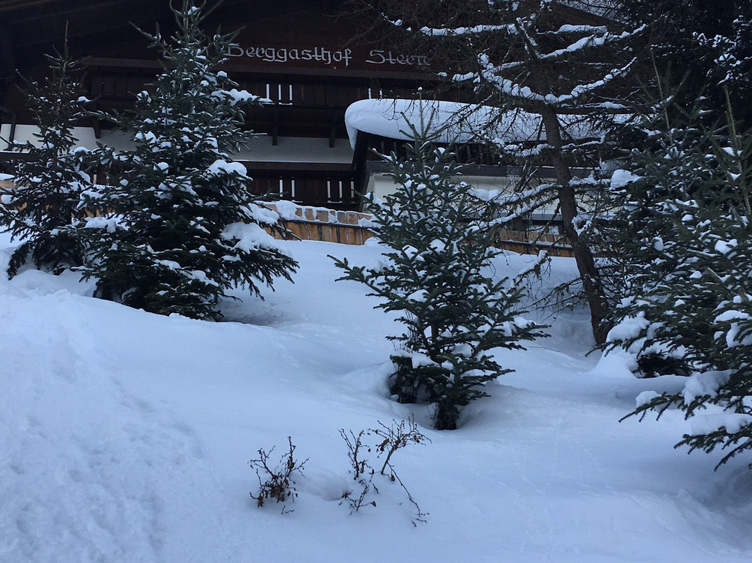 Berggasthof Stern主图