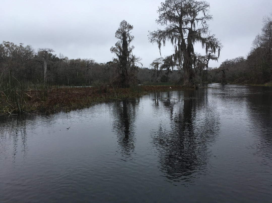 The Lodge at Wakulla Springs主图