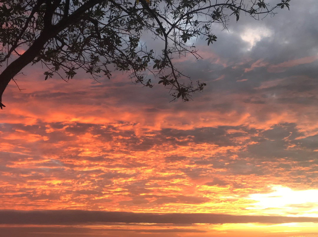 Blue Jay Lodge主图