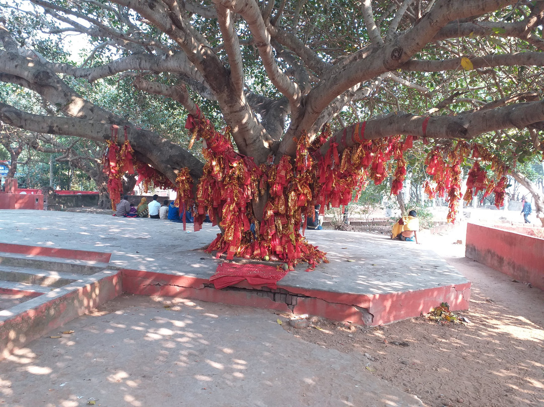 Ramachandi Temple景点图片