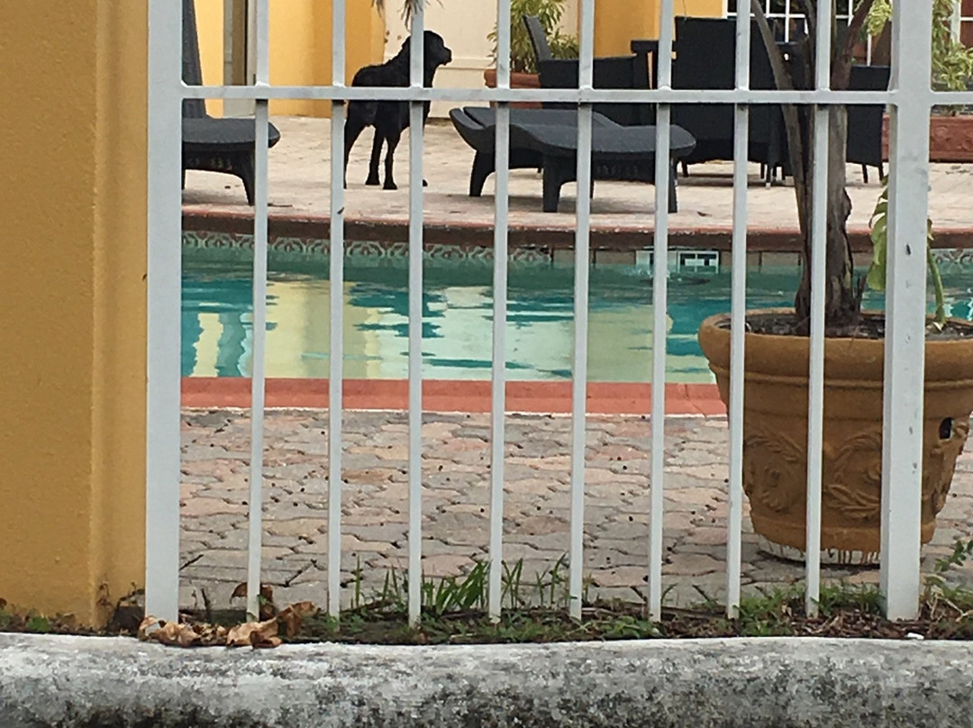 La Quinta Inn by Wyndham Jupiter主图