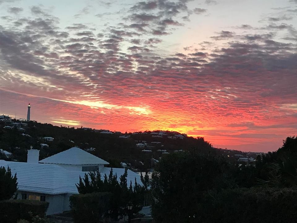 Wade's Garden Inn主图