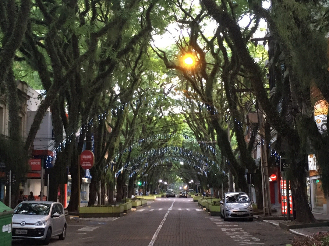 Túnel Verde景点图片