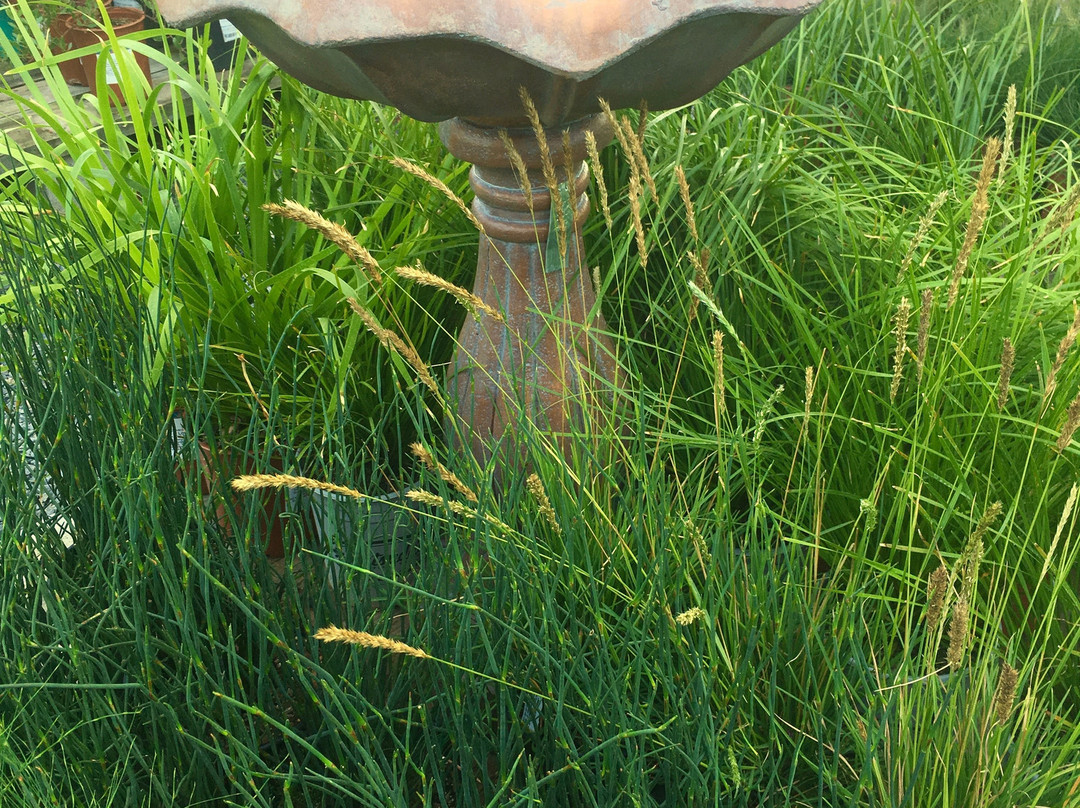 Cloverdale Nursery景点图片