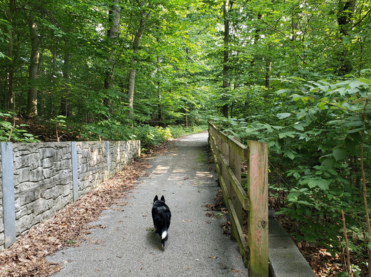 Leakin Park-巴尔的摩必去景点