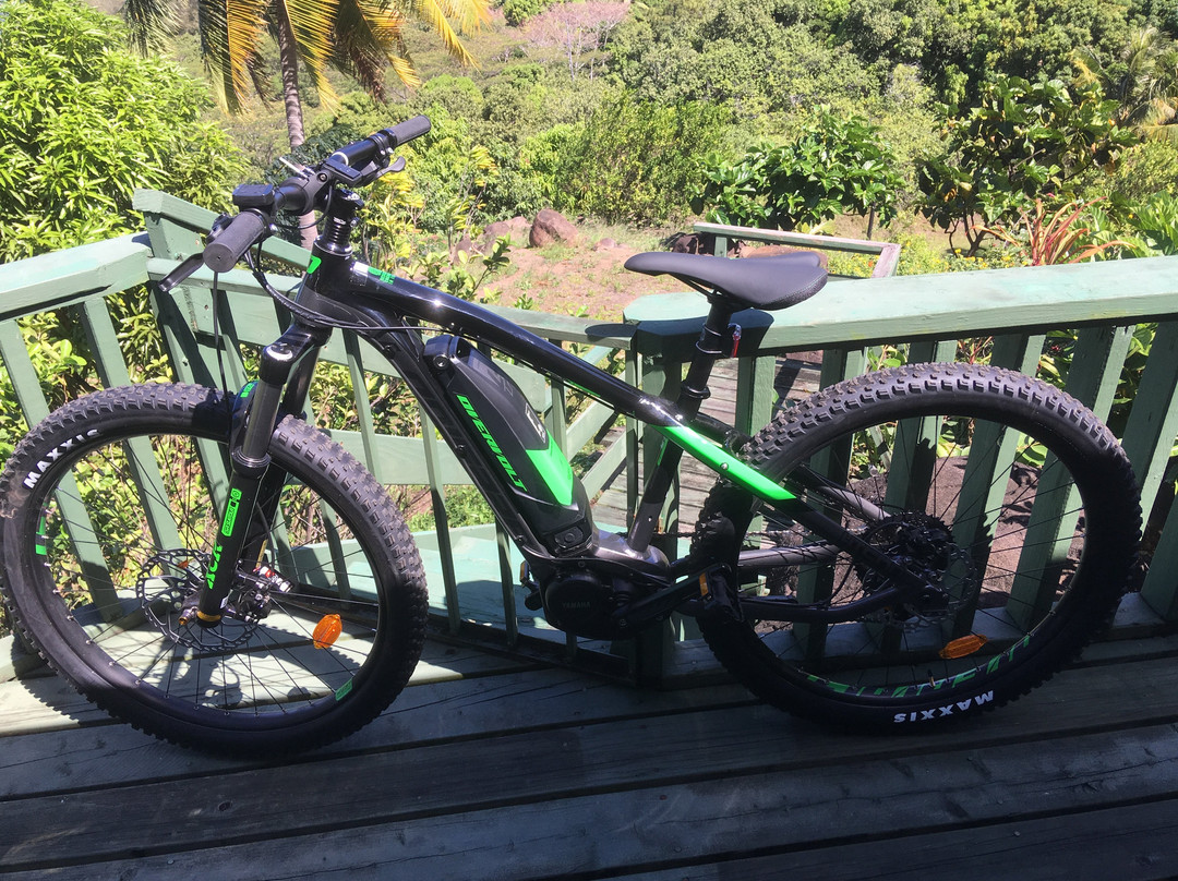 Hanakee Rental Bike-Atuona必去景点