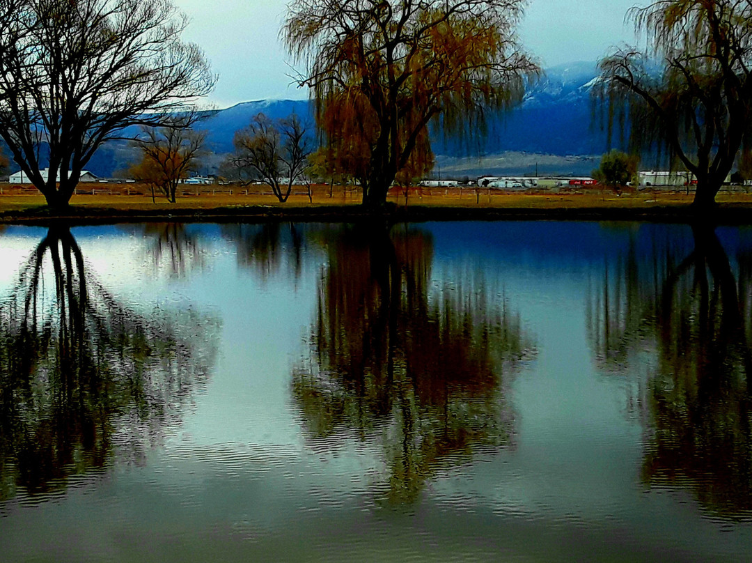 Cove View Golf Course-里奇菲尔德必去景点