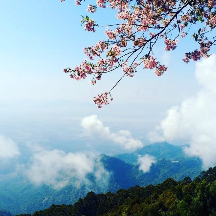 Syamantac Villa-官方