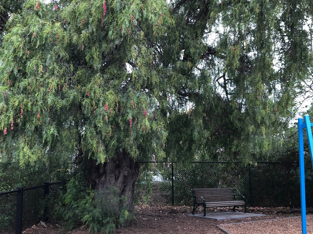 Argo Osborne Playground-South Yarra必去景点
