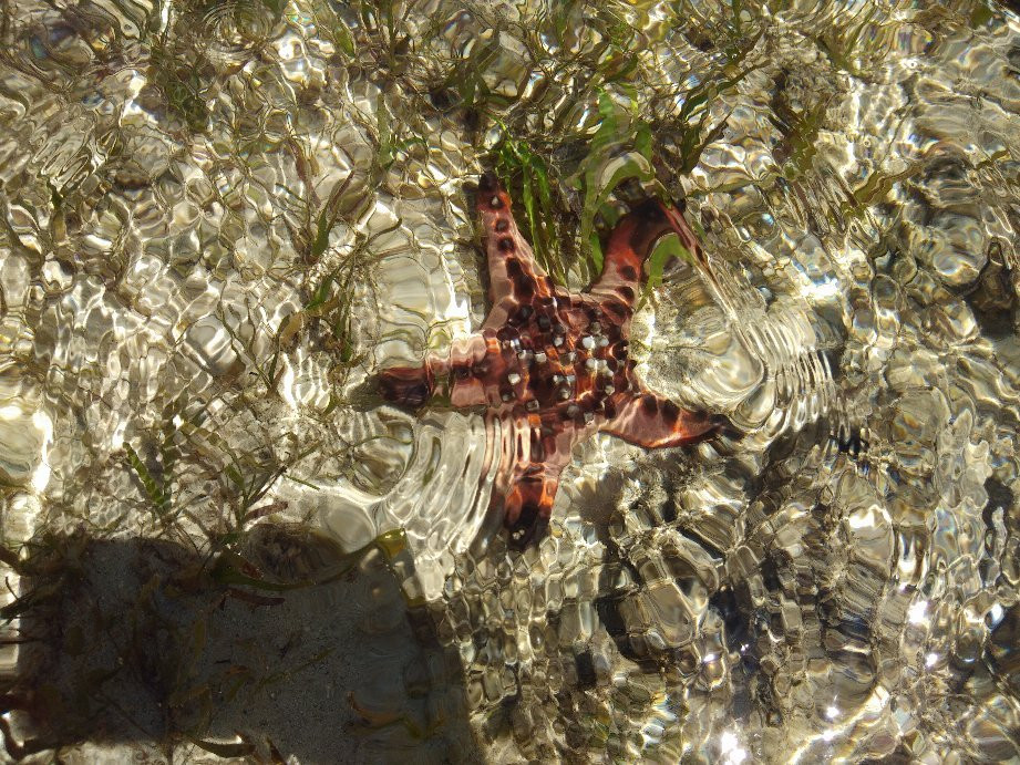布鲁昂阿海滩-Caticlan必去景点