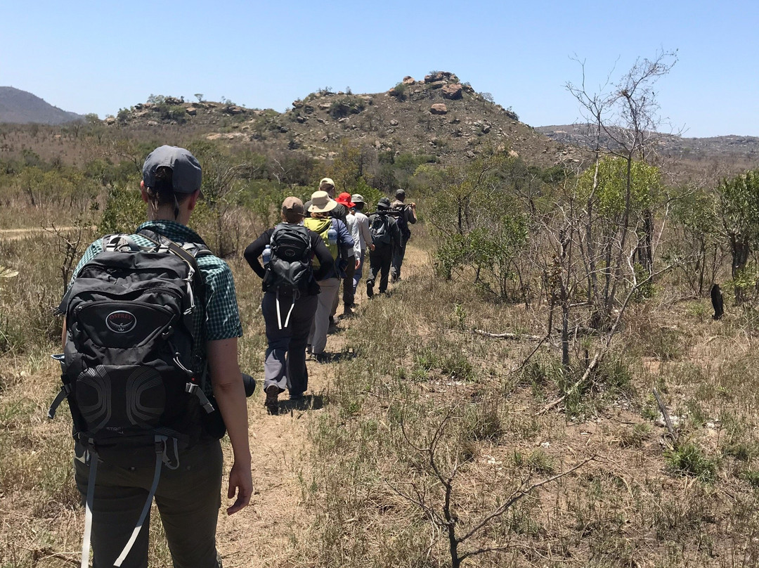 Bushmans Trail-克鲁格国家公园必去景点