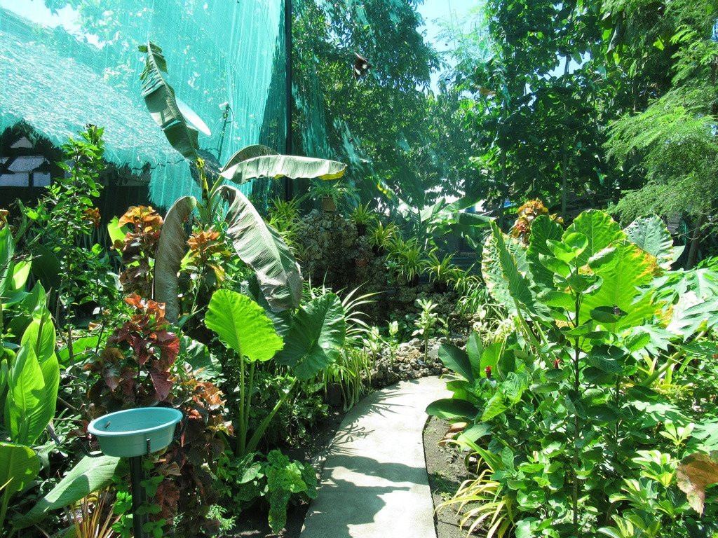 Santa Fe Butterfly Garden景点图片