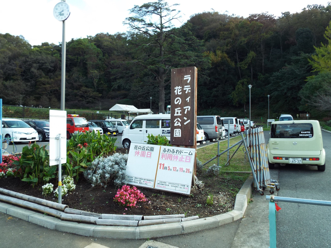Radiant Flower Hill Park-二宫町必去景点
