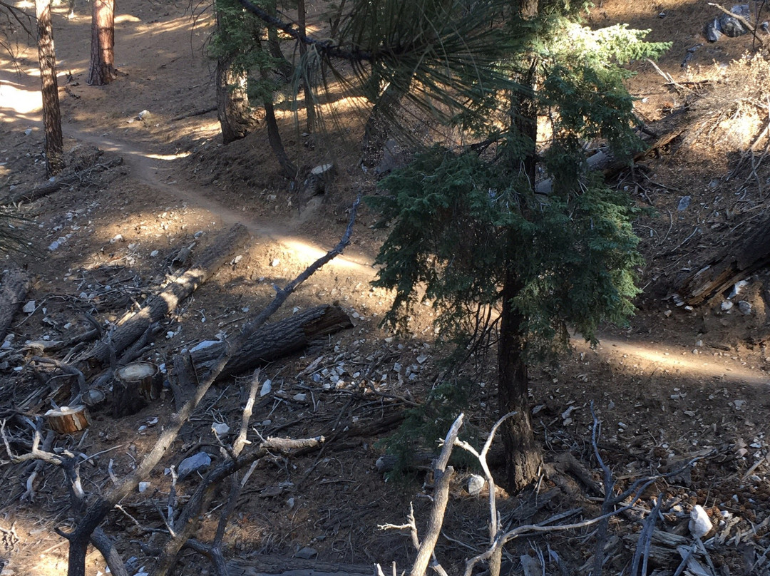 Skyline Trail-大熊湖必去景点