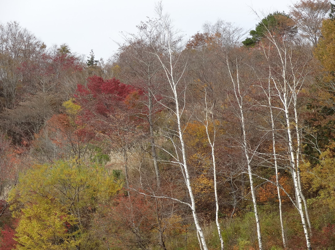 Chausuyama Plateau-丰根村必去景点