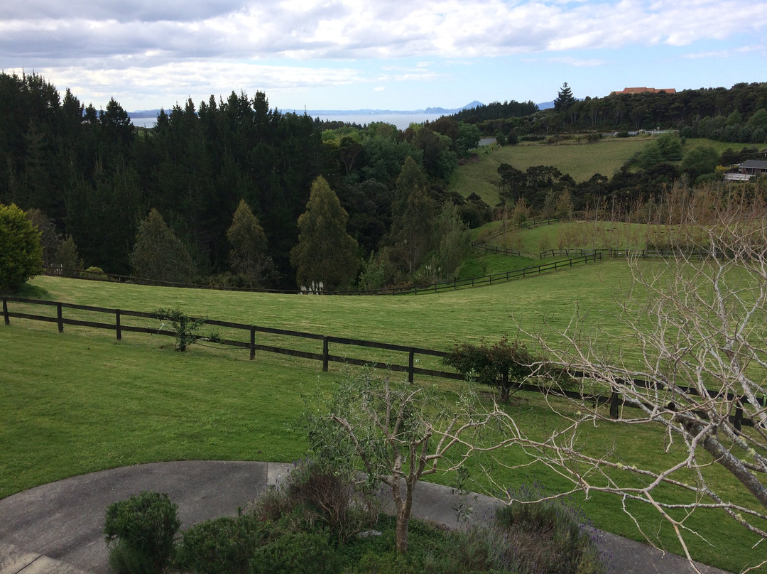 Country Homestead at Black Sheep Farm主图