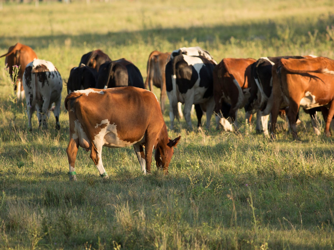 West Central Research & Outreach Center-Morris必去景点