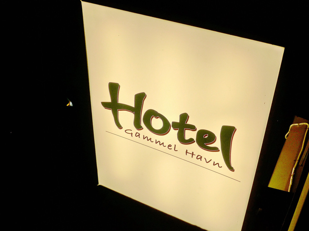 Hotel Gammel Havn主图