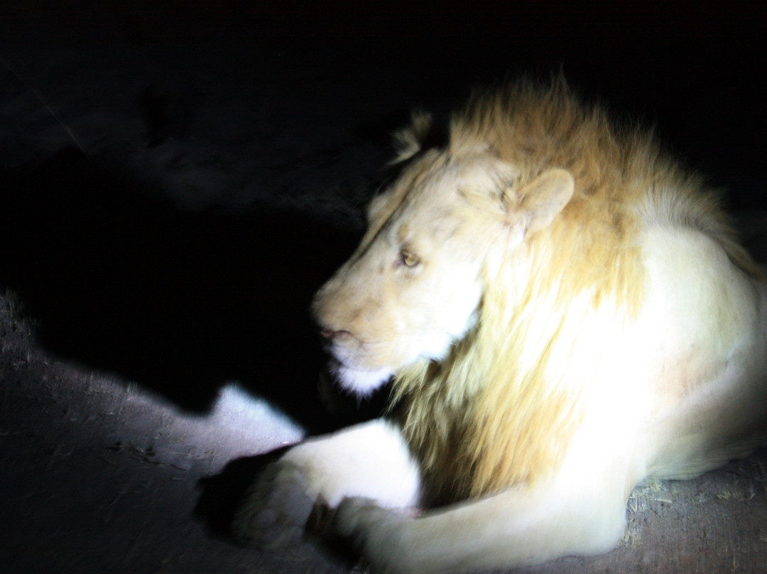 Mikango Safari-南卢安瓜国家公园必去景点