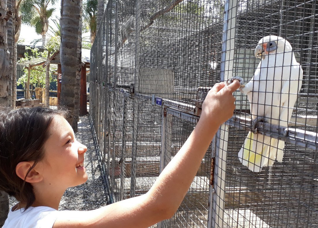 Birds Paradise-Robertson必去景点