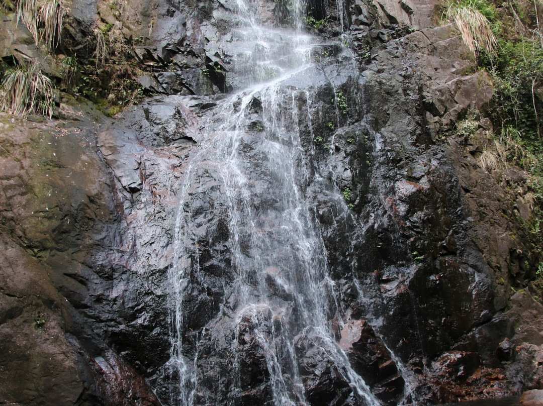 Waterfall Walk-Wauchope必去景点