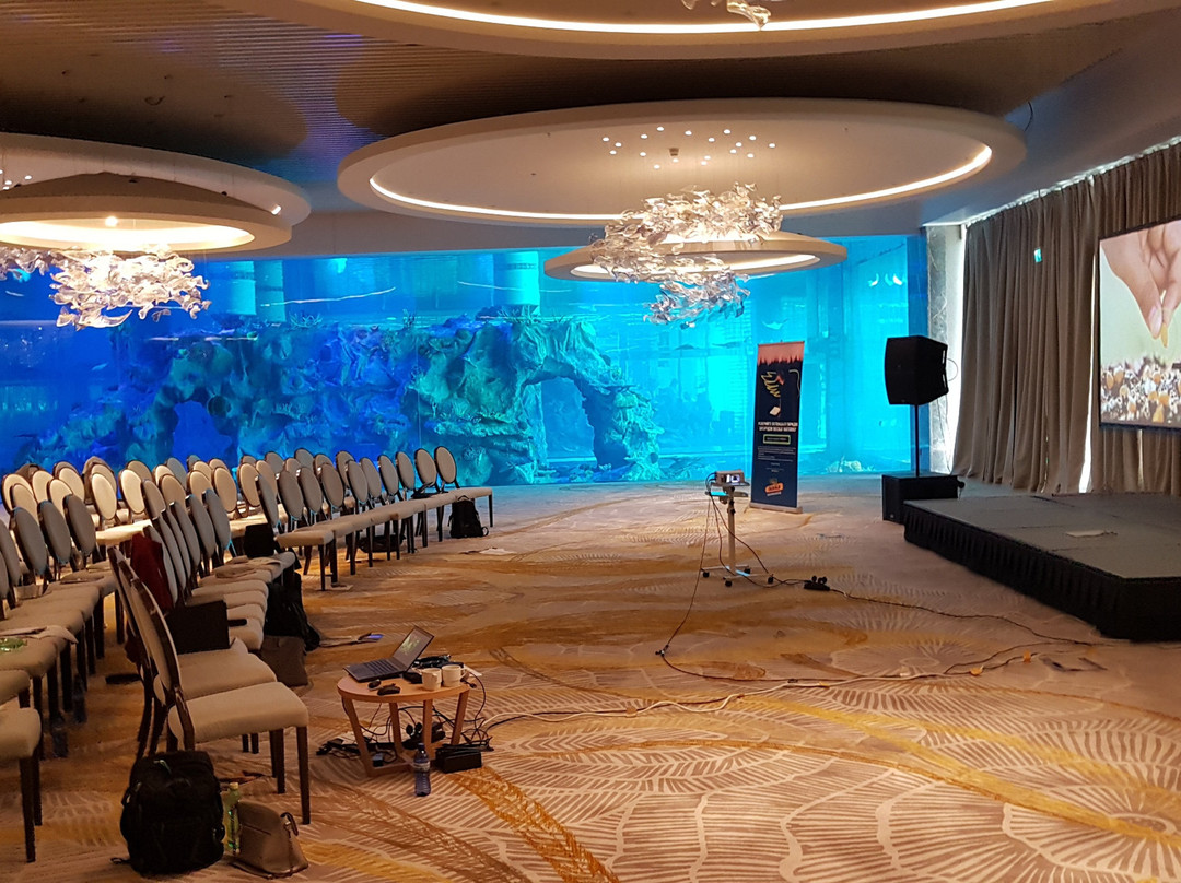 Paragraph Resort & Spa Shekvetili, Autograph Collection主图