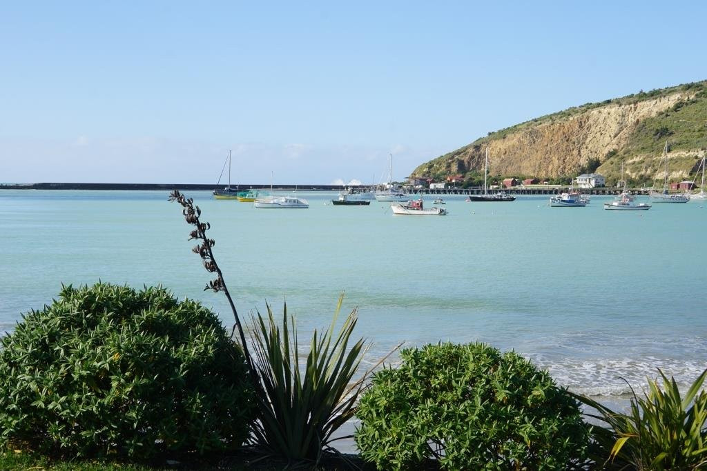 Oamaru Harbour景点图片