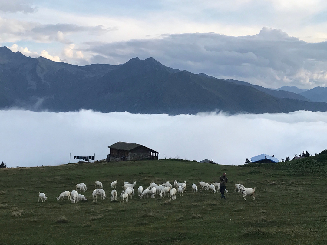 Meydankoy旅游攻略图片