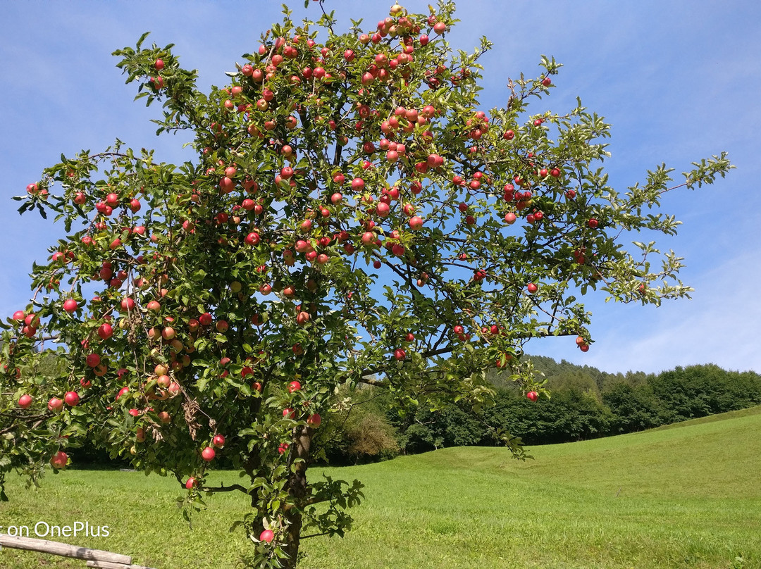 Chiesa di San Giorgio-Terres必去景点