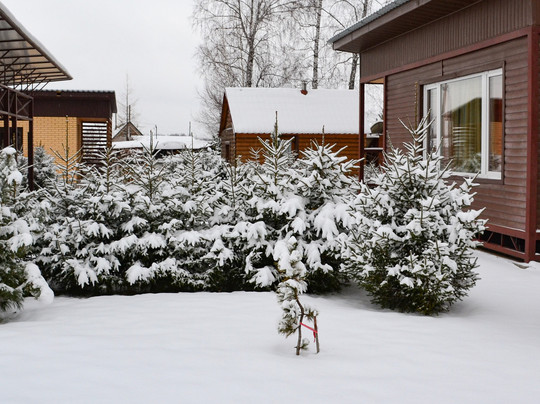 Picnic Grounds-新西伯利亚必去景点