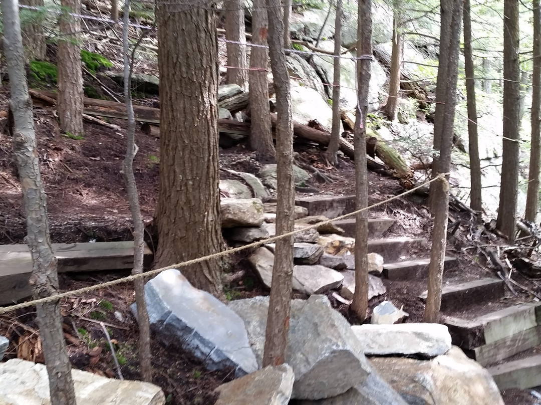 Chapel Brook-Ashfield必去景点
