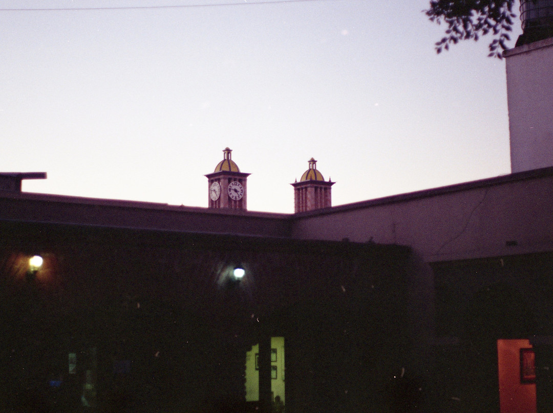 Old City Hall (Palacio Municipal Antiguo)-蒂华纳必去景点