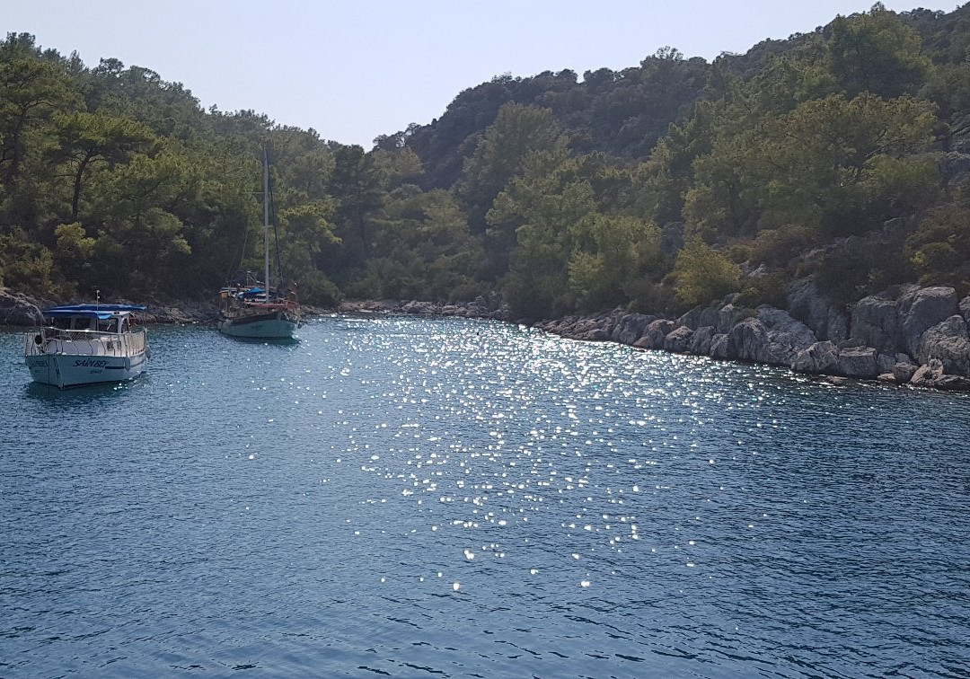 Boat Trips by Captain Ergun景点图片