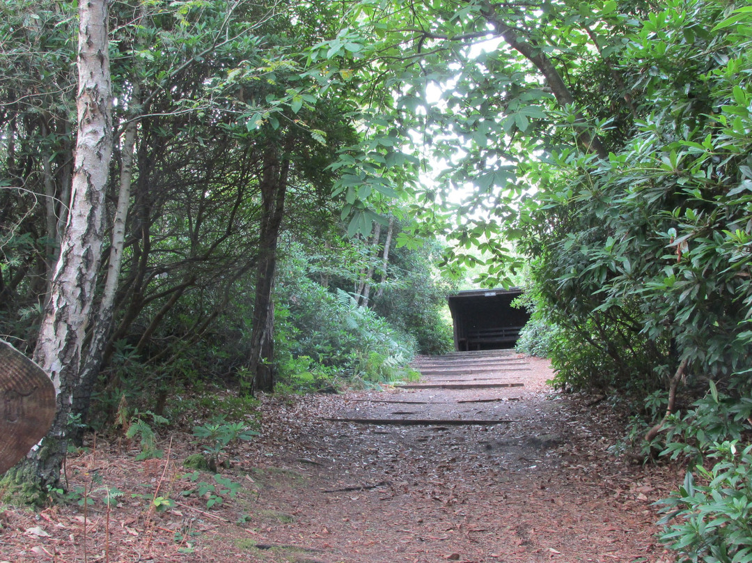 Graffham Campsite