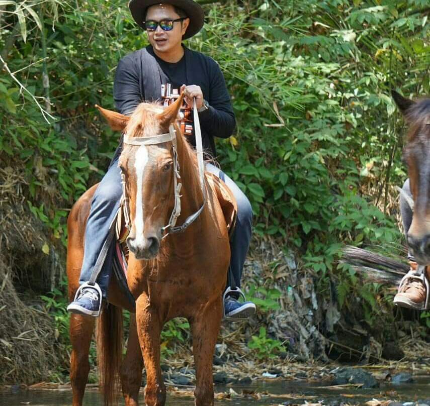 Bale Kuda Stable-Sleman District必去景点