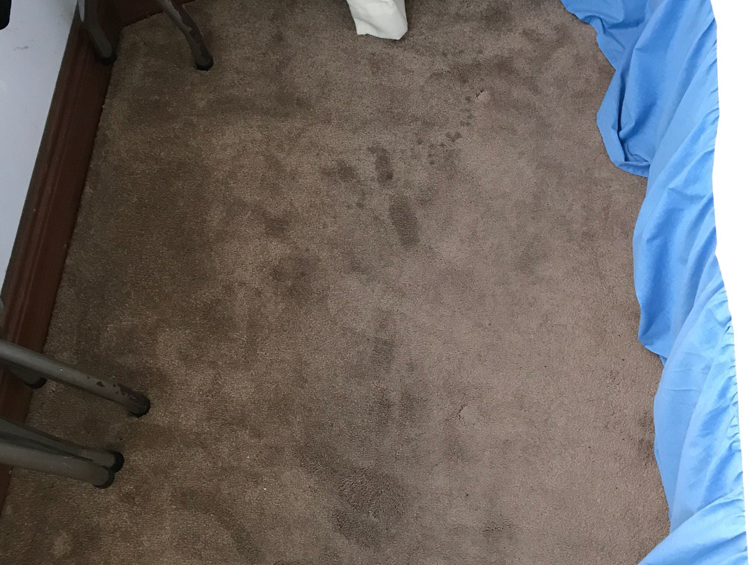 海滨小屋酒店主图