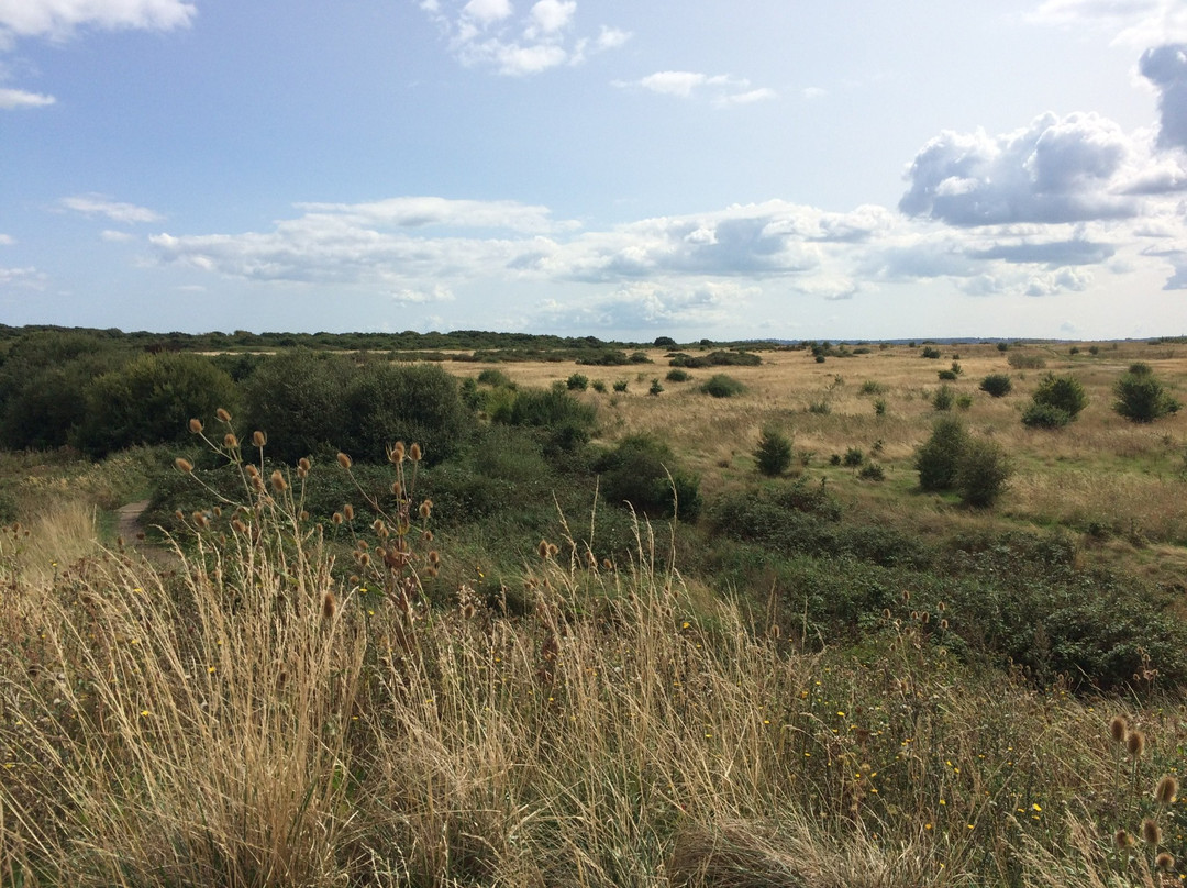 Alver Valley Country Park景点图片