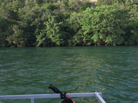 Pedal Barge-奥斯丁必去景点