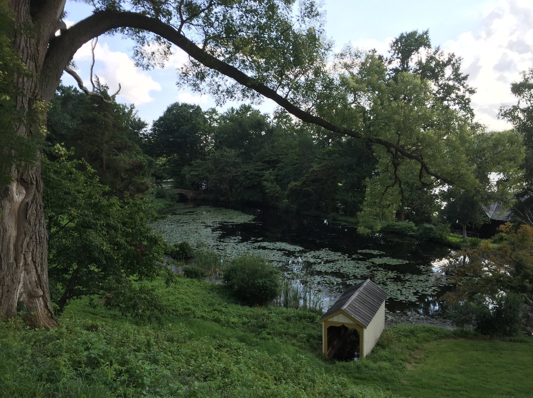Cedarmere-Roslyn必去景点