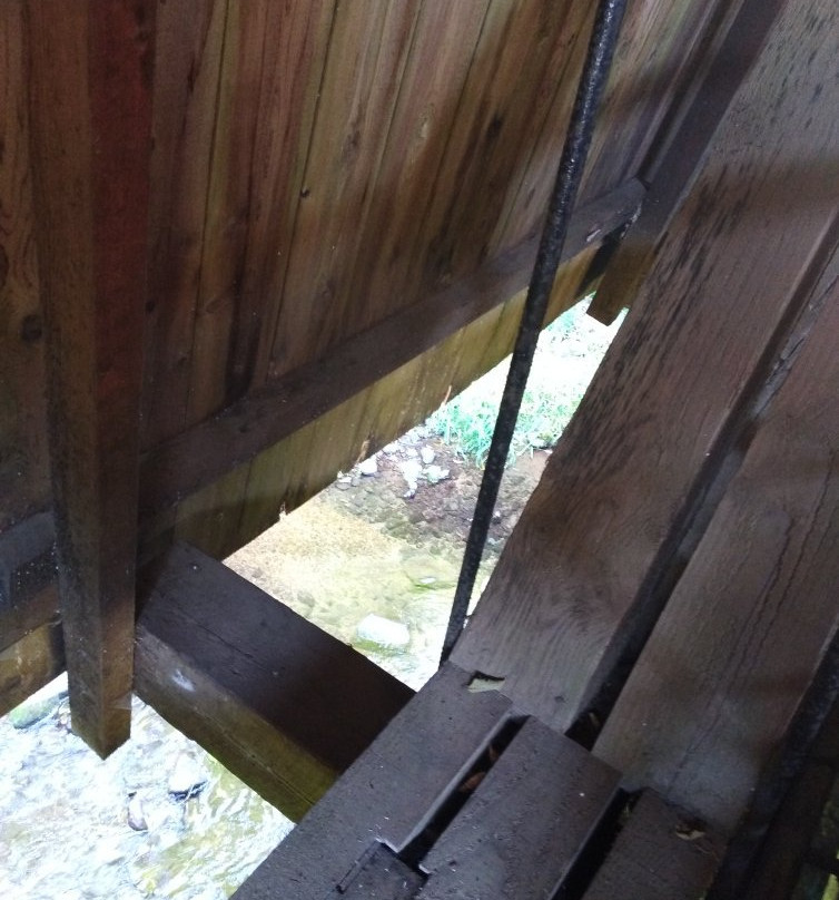 Valley of the Giants-Falls City必去景点